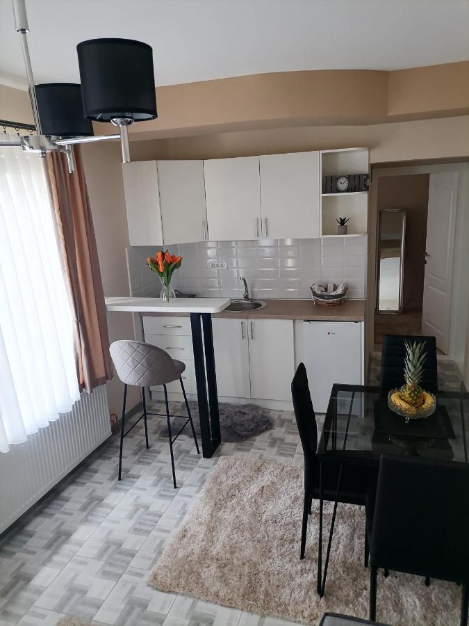 Apartman Savic Apartment Bajina Basta Ngoại thất bức ảnh